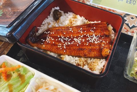 蒲燒鰻魚飯
